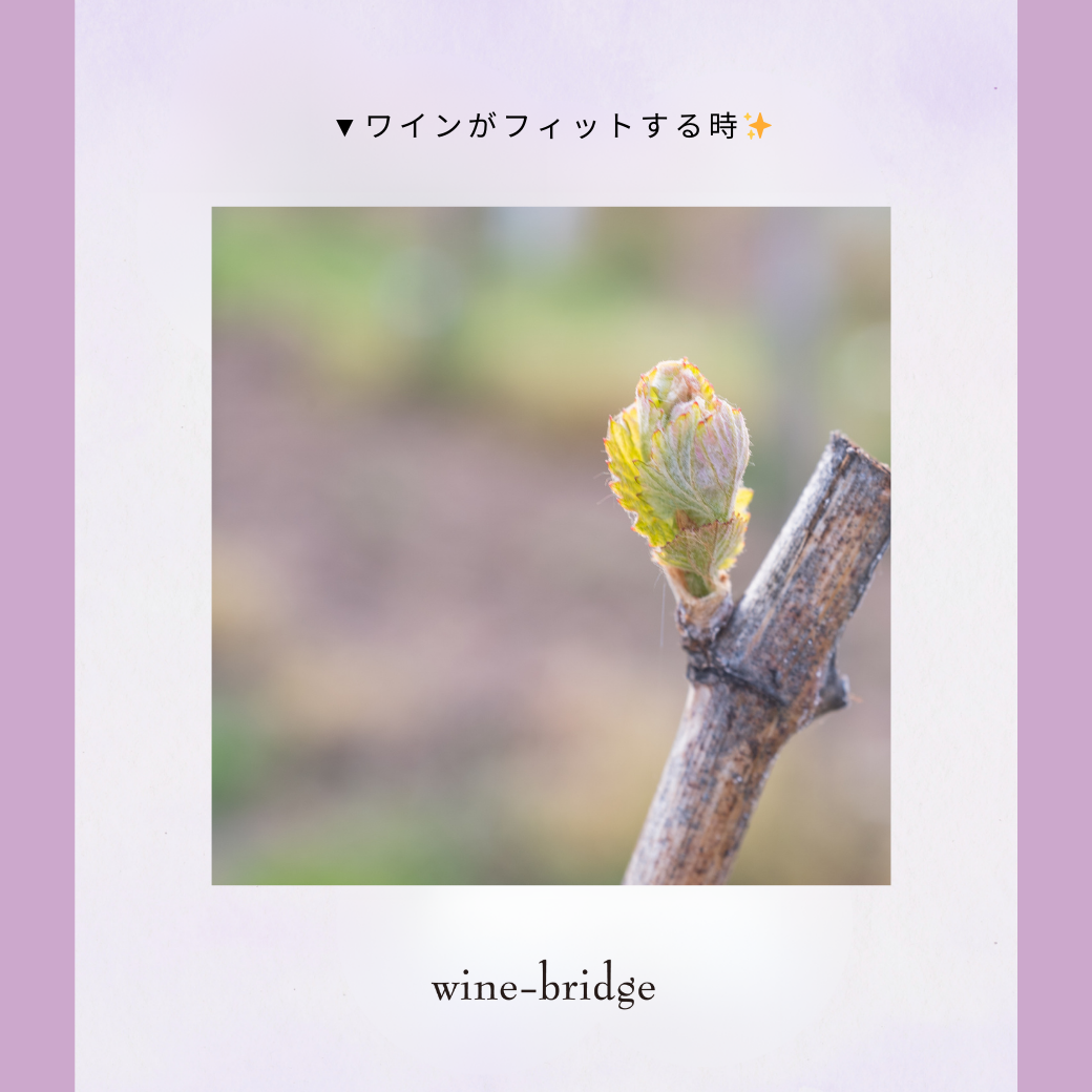 ▼阪神百貨店梅田本店【wine-bridge】試飲販売3月4日(火)まで