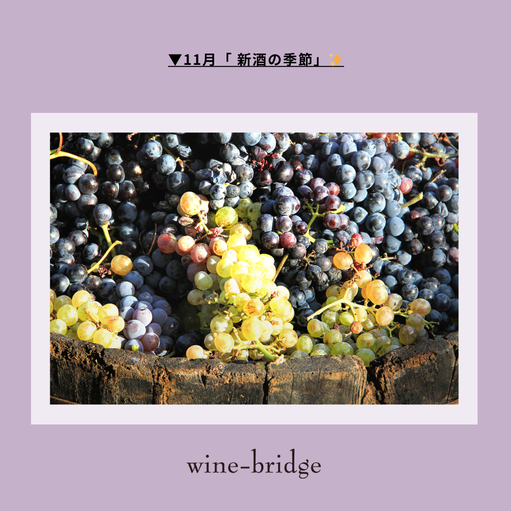 ▼11月「 新酒の季節」✨