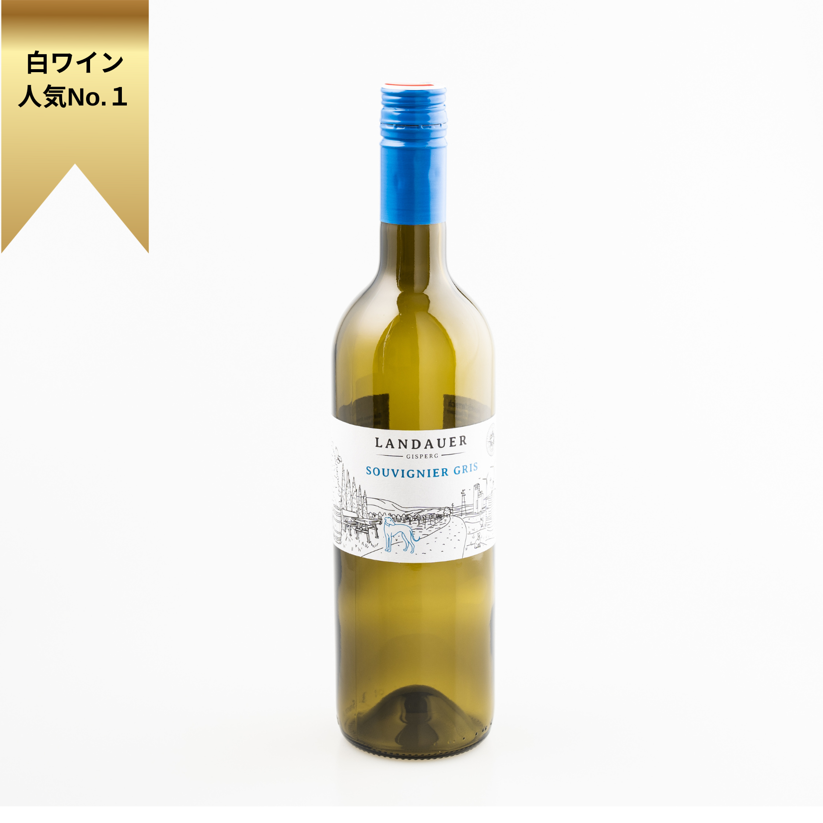 Souvignier Gris 2024 BIO / ソーヴィニエ・グリ 2024 オーガニック