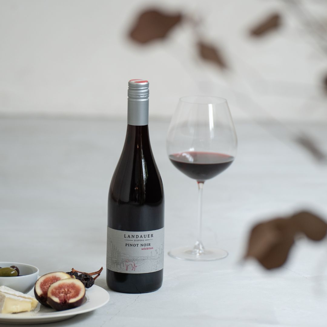 Tattendorfer Pinot Noir 2022 BIO / タッテンドルファー ピノ・ノワール 2022 オーガニック