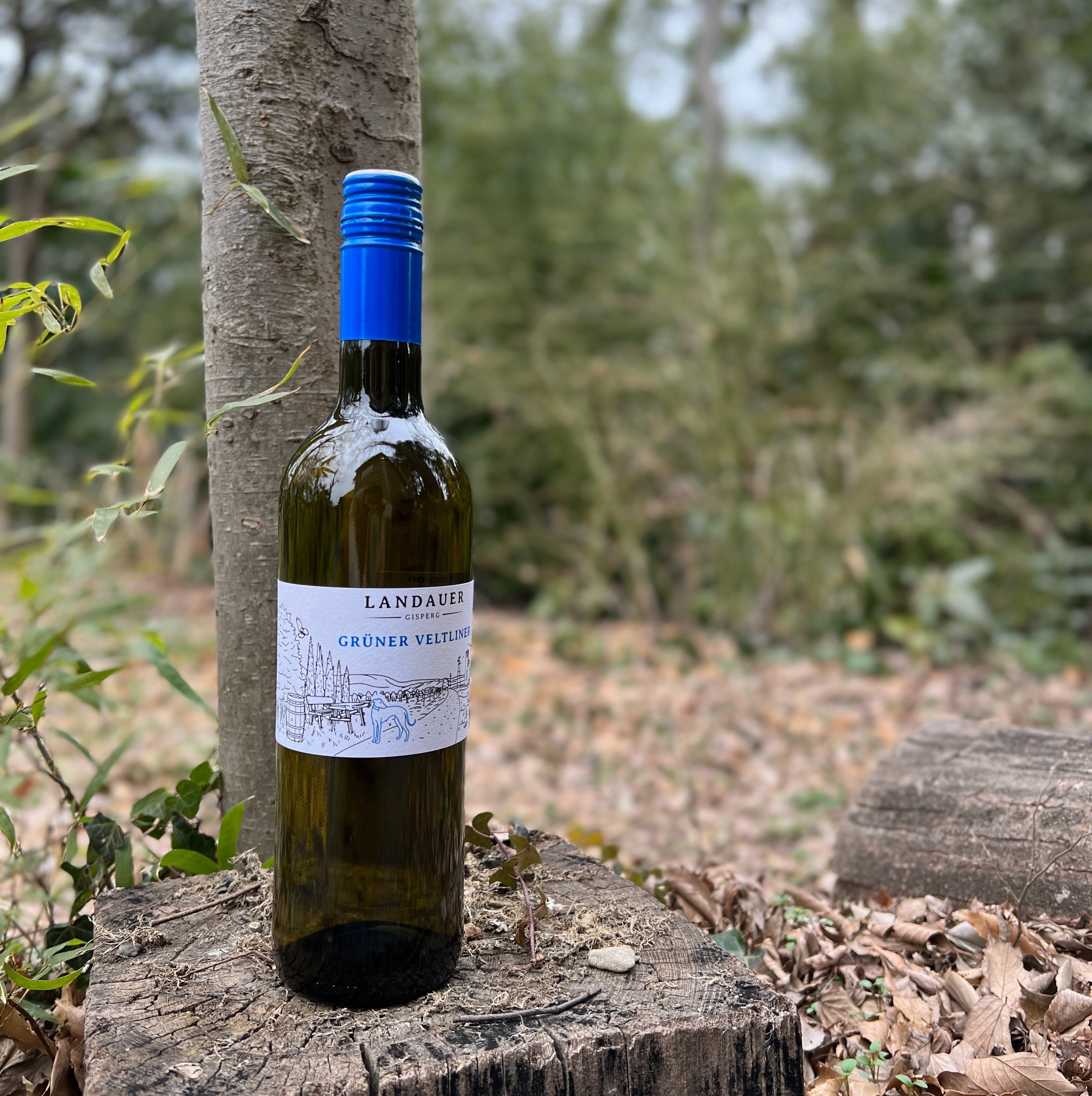 Gr. Veltliner 2023 BIO / グリューナー・フェルトリーナー2023 オーガニック