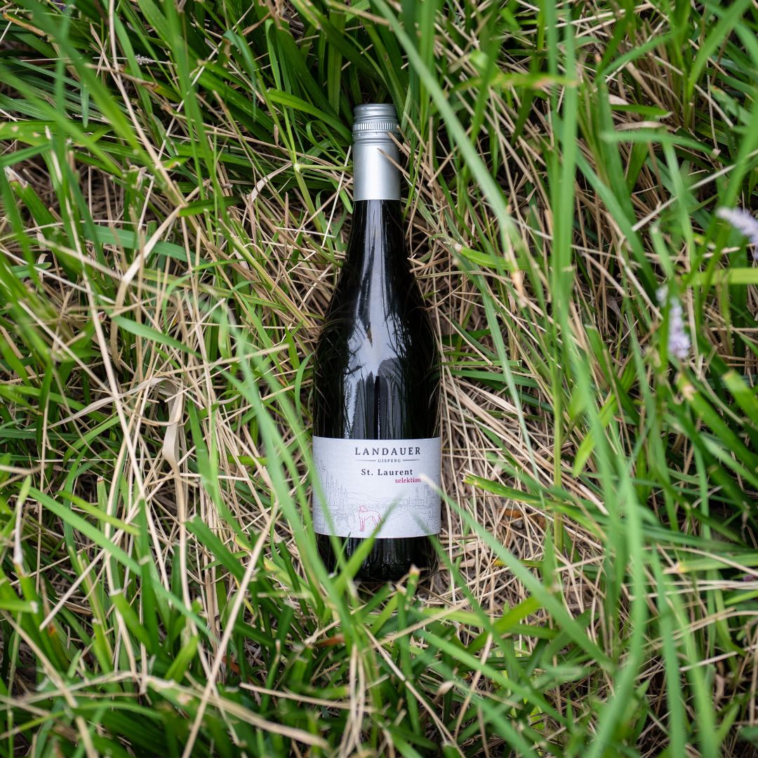 Tattendorfer ST. LAURENT 2022 BIO /タッテンドルファー ザンクト・ラウレント 2022 BIO