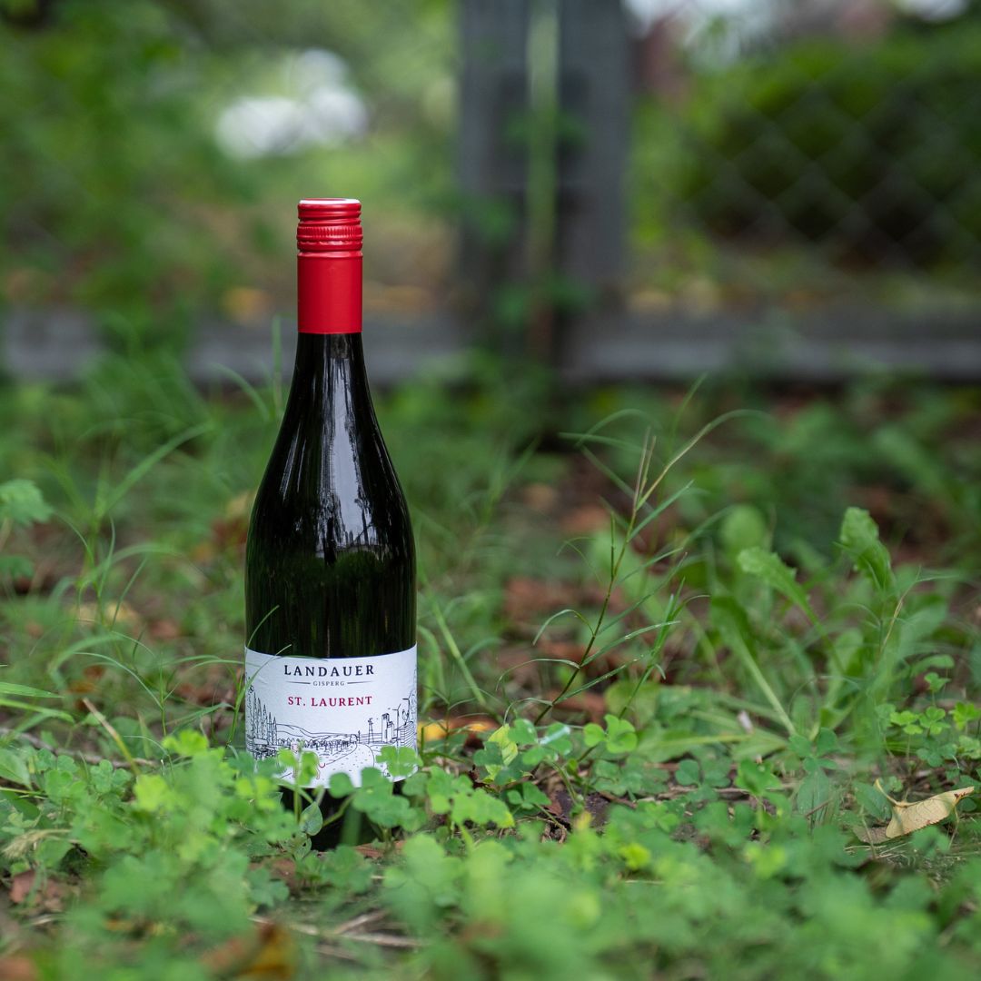St.Laurent Klassik 2022 BIO / ザンクト ラウレント クラシック 2022オーガニック