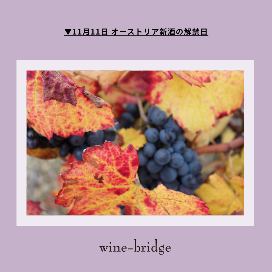 ▼11月11日 オーストリア新酒の解禁日